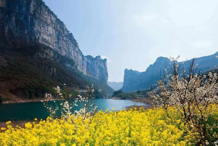 贵州有个小众景区，被誉为“乌江第一湾”，春天来看万亩花海